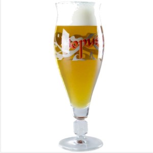 Glass Hopus 33cl