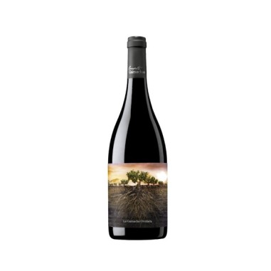 Garnacha Olvidada de Aragón 2021