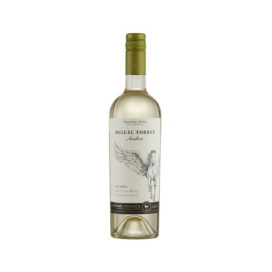 Ándica Sauvignon Blanc 2024