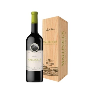 Malleolus De Sanchomartin 2021 Magnum