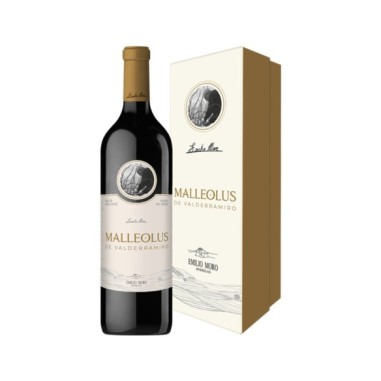 Malleolus De Valderramiro 2021