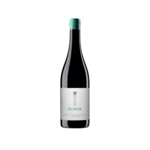 Ilunum Tinto Roble 2024