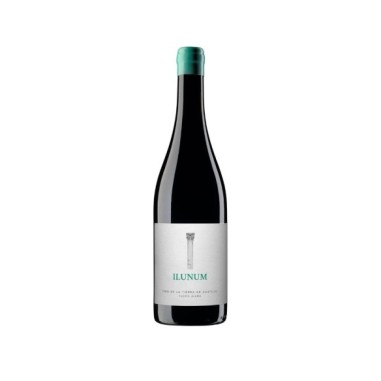 Ilunum Tinto Roble 2024