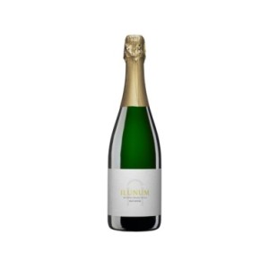 Ilunum Espumoso Brut Nature 2022