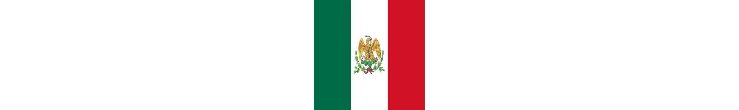 Worldrinks - Distribuidora de Cerveza Mexicana