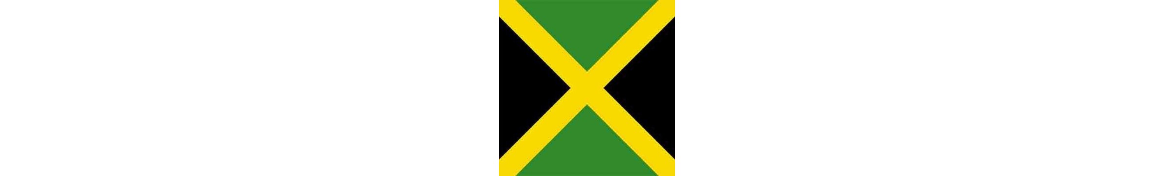 Worldrinks - Distribuidora de Cerveza Jamaicana