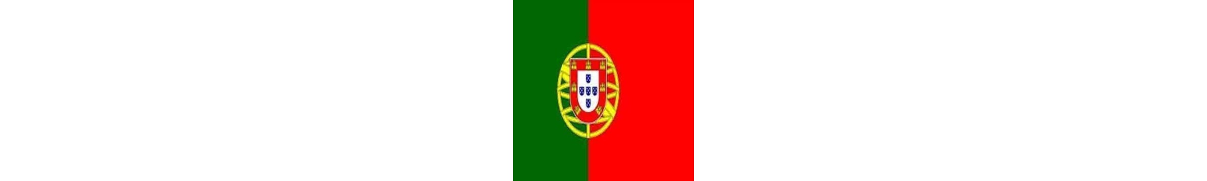 Worldrinks - Distribuidora de Cerveza Portuguesa