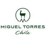 Miguel Torres Chile