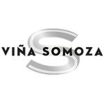Bodegas Viña Somoza