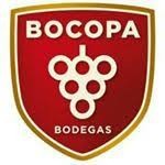 Bodegas Bocopa